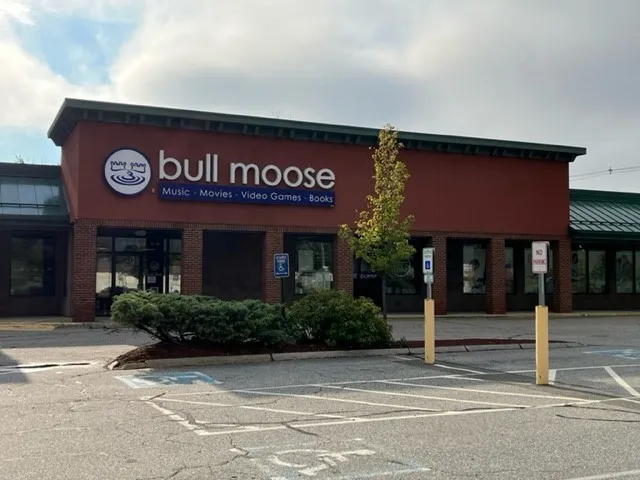 Bull Moose