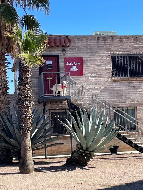 Julie Burnett - State Farm Insurance Agent