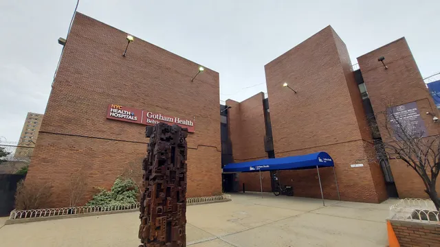 NYC Health + Hospitals/Gotham Health, Belvis