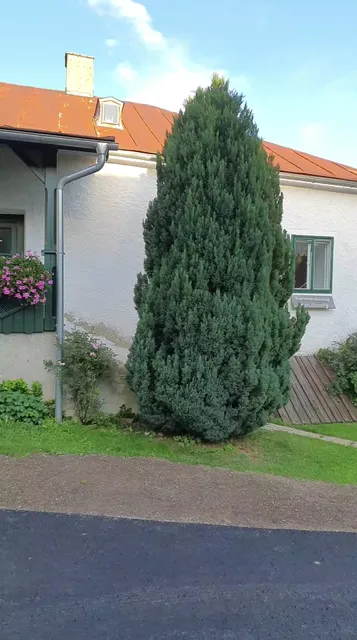 Ferienwohnung Vonwald