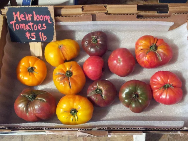 Daily Harvest Express