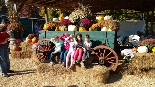 Johnny Wilson Farm Supply/road side produce stand