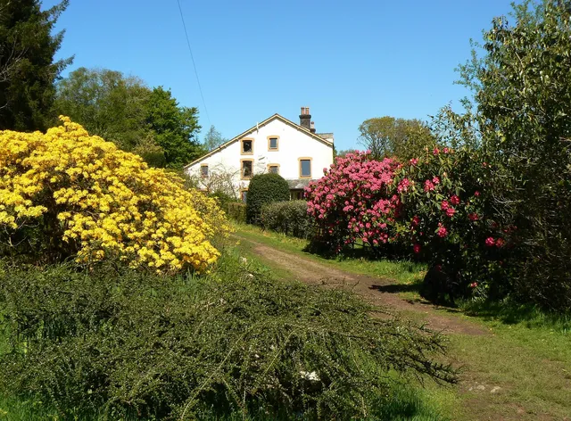 Forest How Guest House