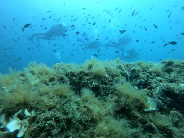 Zoumbos Konstantinos