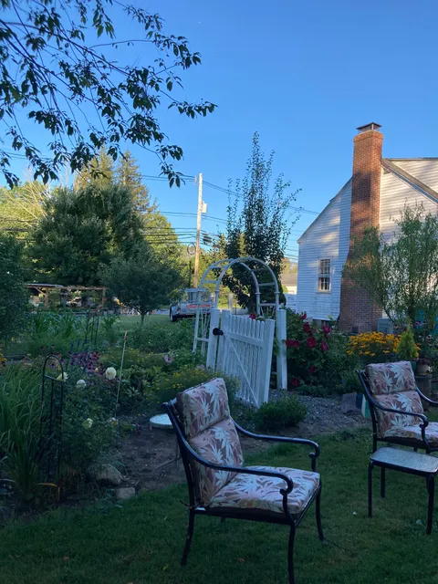 Sofia's Flower in Mendon