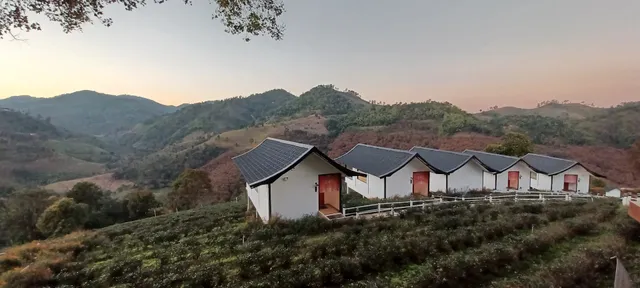 Wata Khiri @Wang Put Tan Tea Plantation