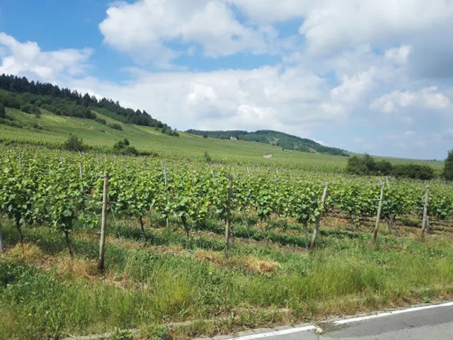 St. Laurentius Sekt GmbH