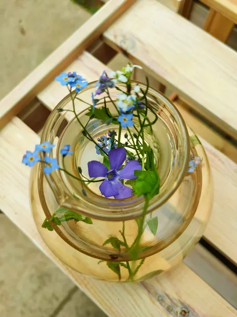 Chata Marina Jelenice