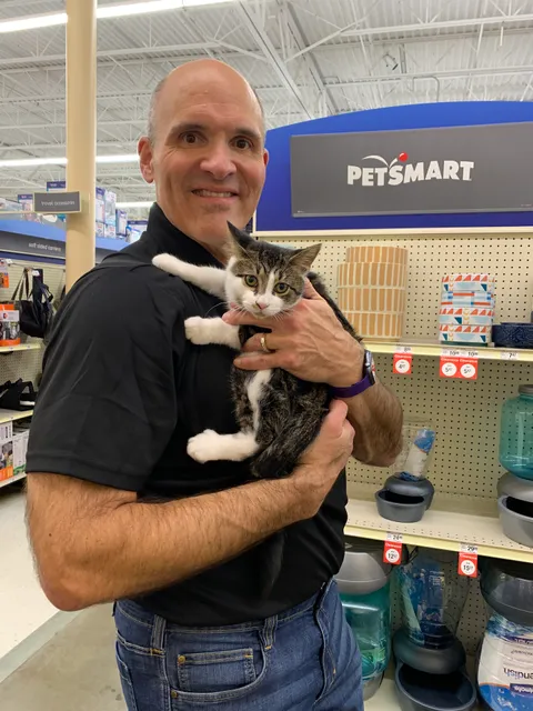 Community Cat Companions - Lake County & Ashtabula Community Cats