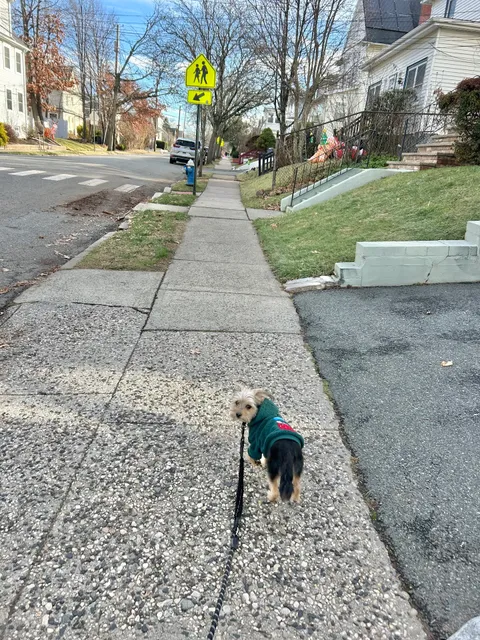 Shangri-La Pet Comforts