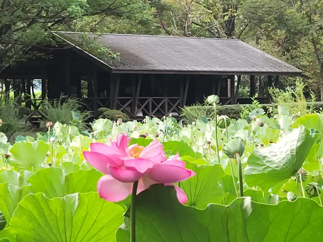 北部公園 都市緑化植物園ブロック