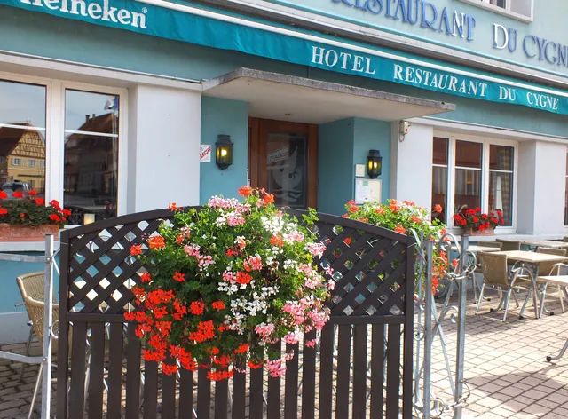 Hôtel du Cygne