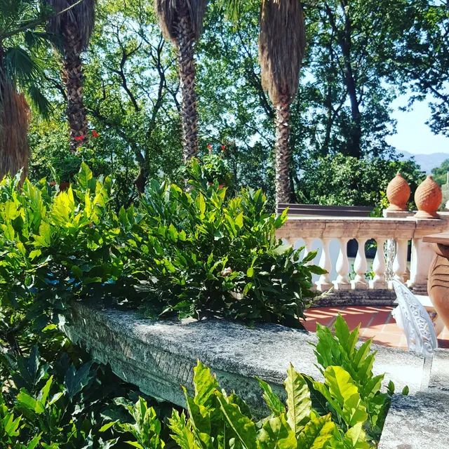 B&B GIARDINO DIONYSOS