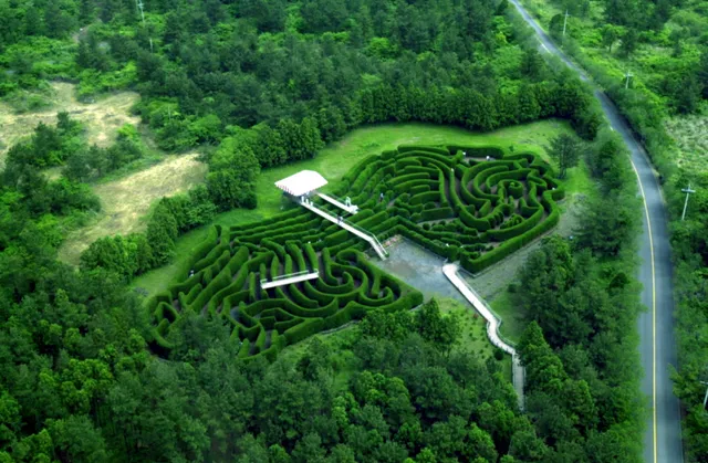 Gimnyeong Maze Park