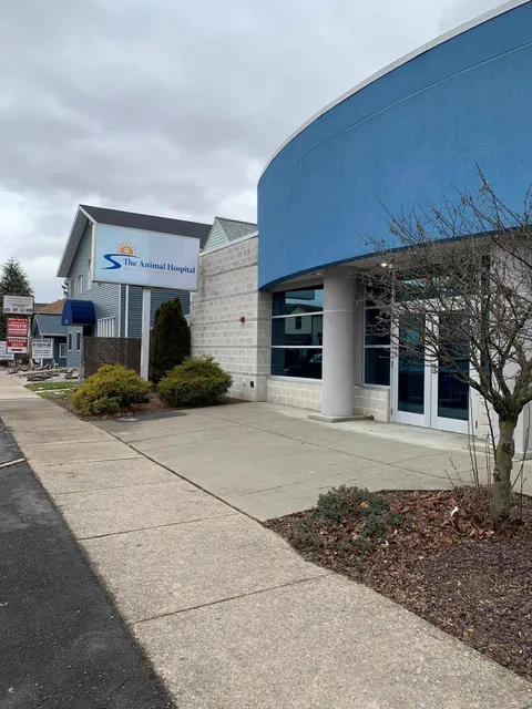 The Animal Hospital on the Golden Strip