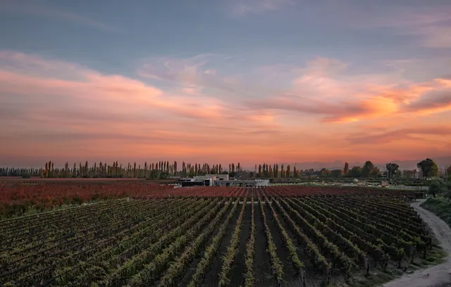 DURIGUTTI FAMILY WINEMAKERS - FINCA VICTORIA :: #10 WORL'DS BEST VINEYARDS 2024