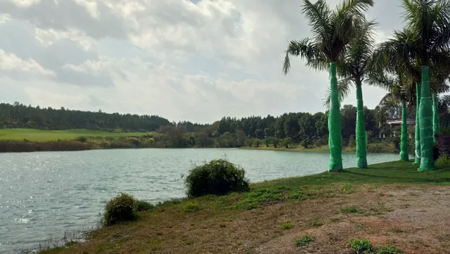 Huquan Hotel Sedate Restaurant