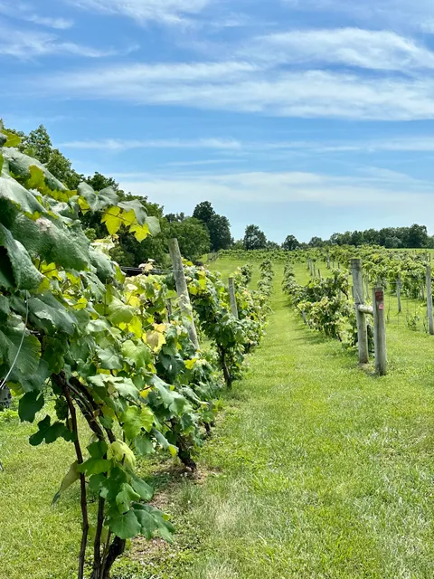 Rose Hill Farm Winery