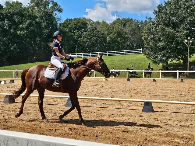 Willow South Riding School