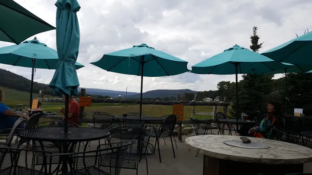 Mountain State Brewing Co