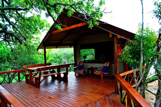 Lion Tree Top Lodge