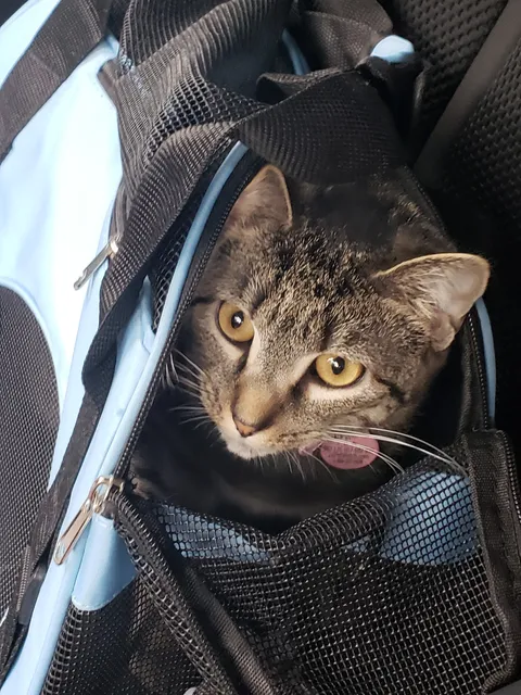 VCA Liberty Animal Hospital