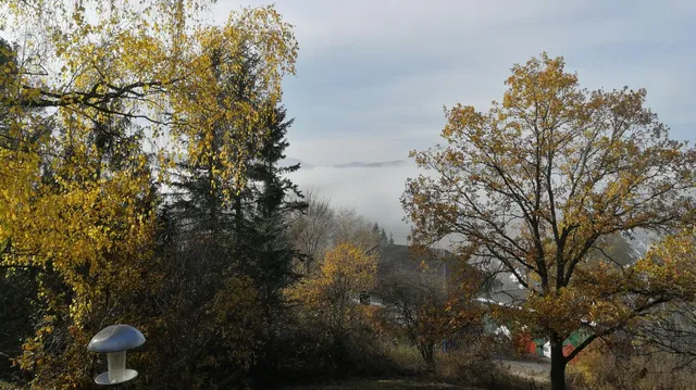 Ferienhaus Dornhecke