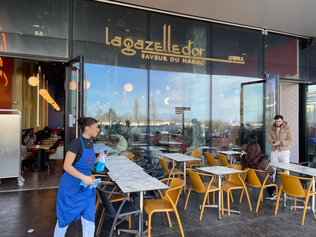 LA GAZELLE D'OR PLAISIR