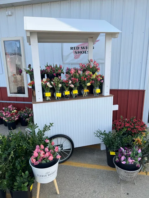 Wild Child Flower Farm