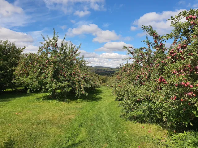 Windy Hill Orchard West