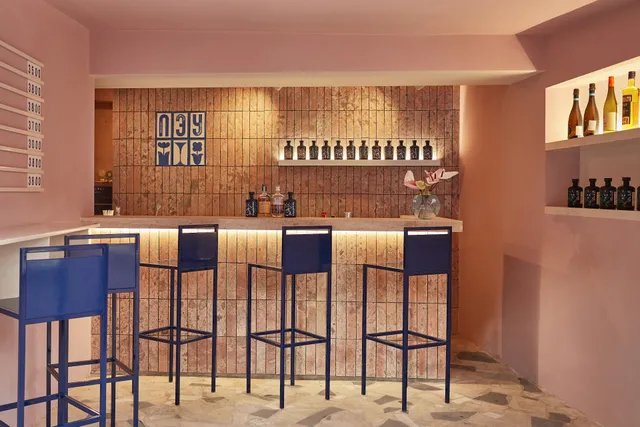 Esthetic Joys Embassy