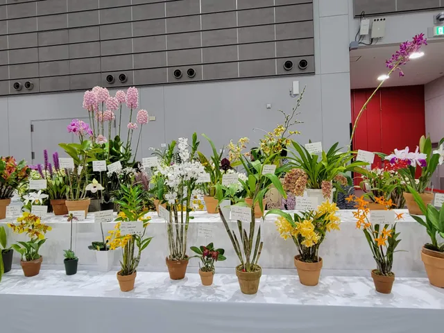 Miyagi Industrial Exchange Center - Yume Messe Miyagi