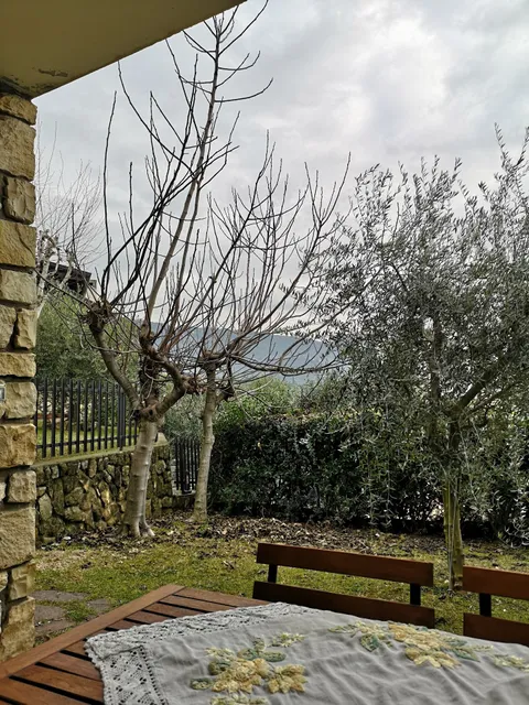 B&B Casa Degli Ulivi