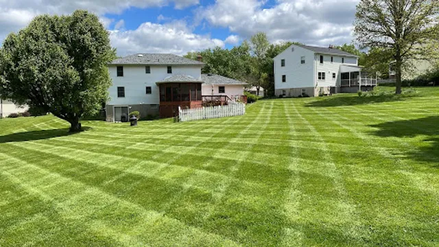 Villeda Lawn Services