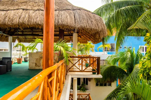 Estudios Selva y Mar