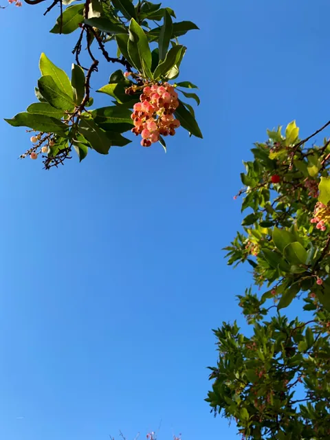 Westport @ Mandalay Bay Park