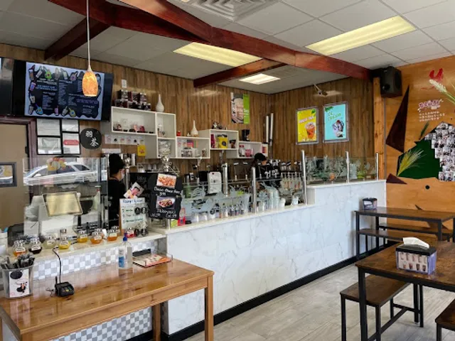 Y Bubble (Bulverde Road Location #2)