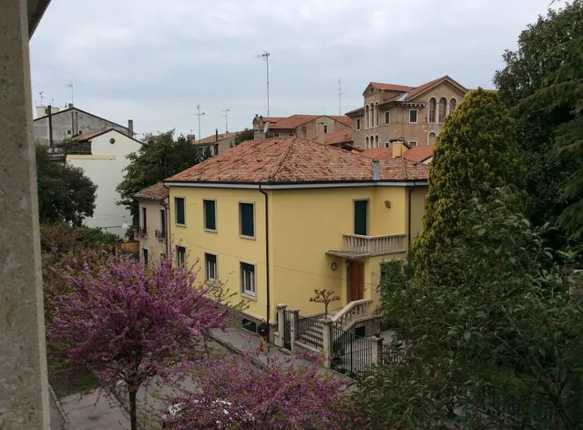 My placerent - prato della valle