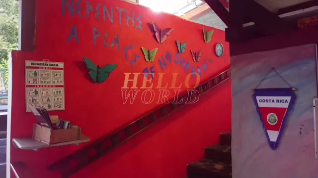 The Phoenix Restaurante at Nepenthe