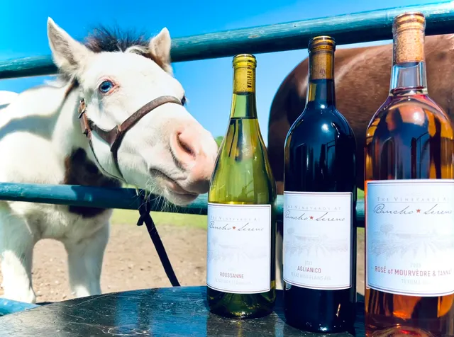 The Vineyards at Rancho Sereno