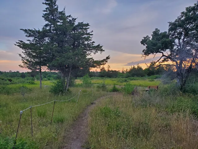 Chaumont Barrens Nature Preserve
