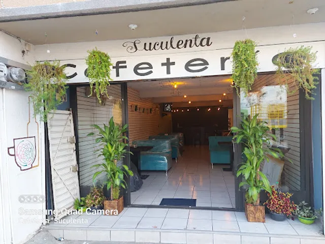 Suculenta cafeteria