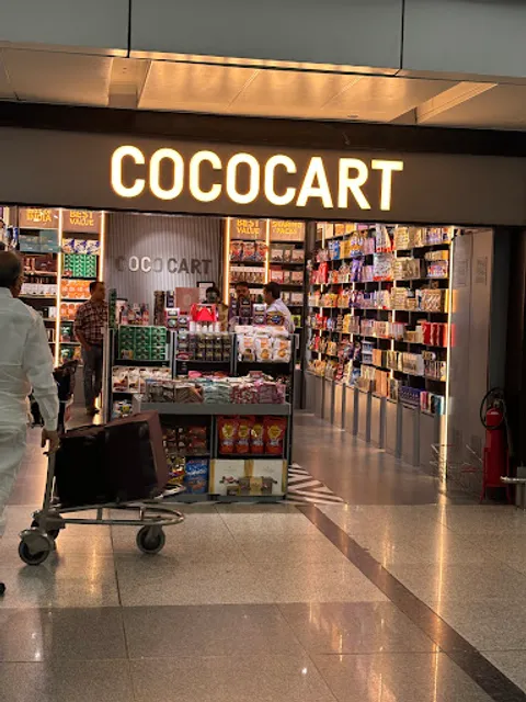 Cococart Delhi Airport