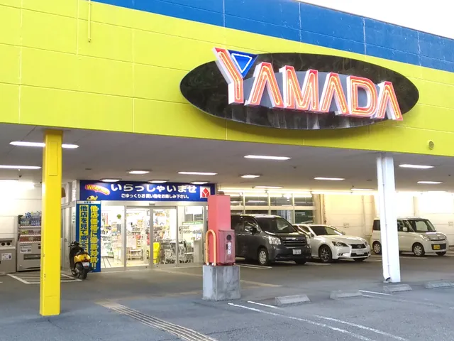 Yamada Denki