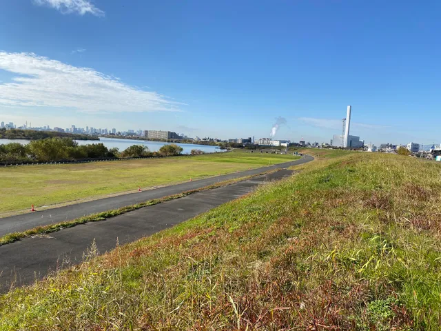 Yodogawa Riverside Park - Hitotsuya Wildflower Area