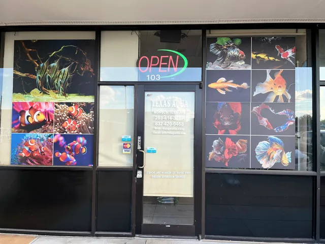 Texas Aqua—Aquarium Fish Store Houston TX