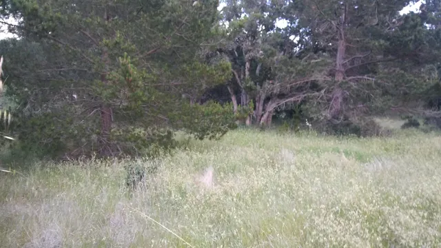 Fisherman's Flats Park