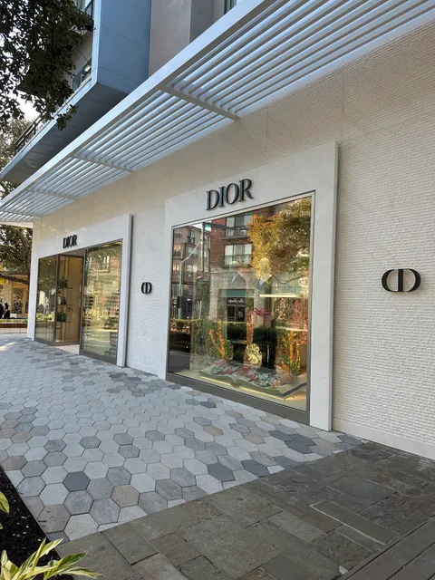 DIOR Austin Domain