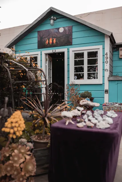 Untamed Fire: Metaphysical & Crystal Shop