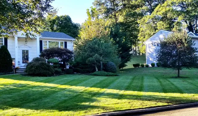 NJ Paramount Landscape LLC